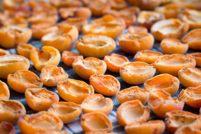 dried apricots