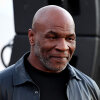 Mike Tyson beat up a man on board a plane