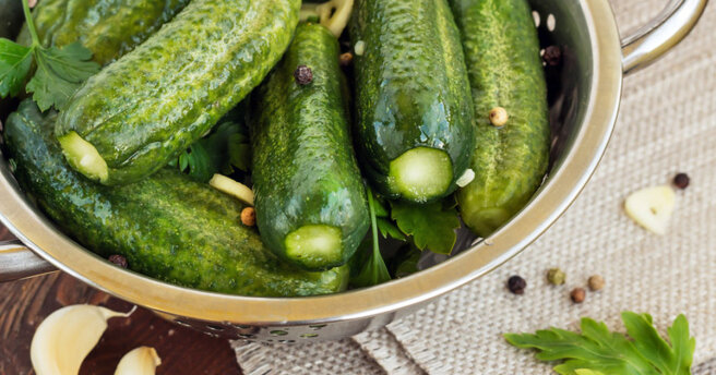 Lightly salted cucumbers: a recipe for simple and quick pickling