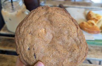 A large chocolate chip cookie held in front of a neutral background