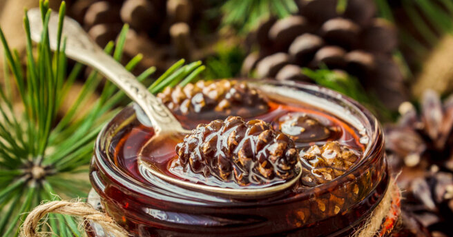 Jam from fir cones: a recipe for a therapeutic dessert