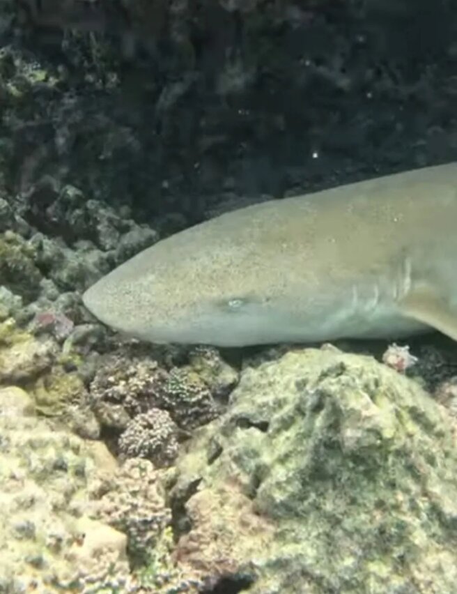 Фото Елизаветы Песковой