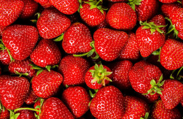 How to prepare strawberries for the winter: TOP 3 simple recipes