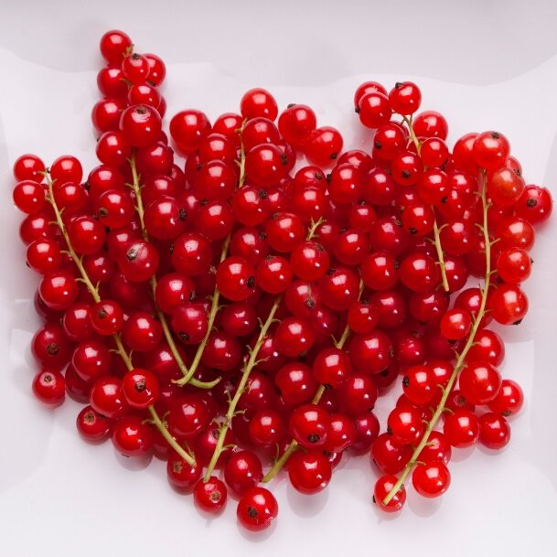 Recipes from red currant