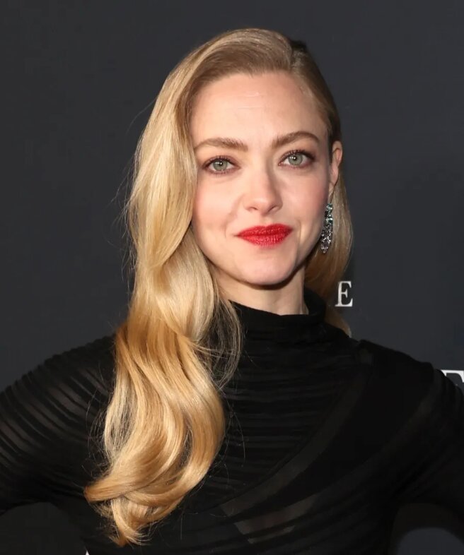 Аманда Сейфрид на премьере фильма