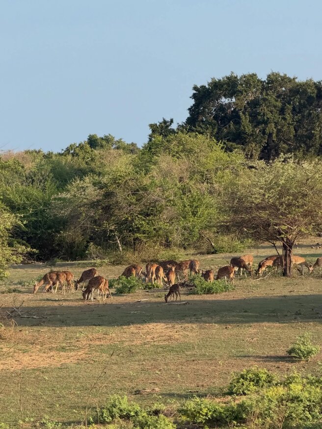Фото Вани Дмитриенко