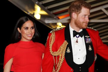 Prince Harry is unhappy that Meghan Markle is spending his inheritance on her projects