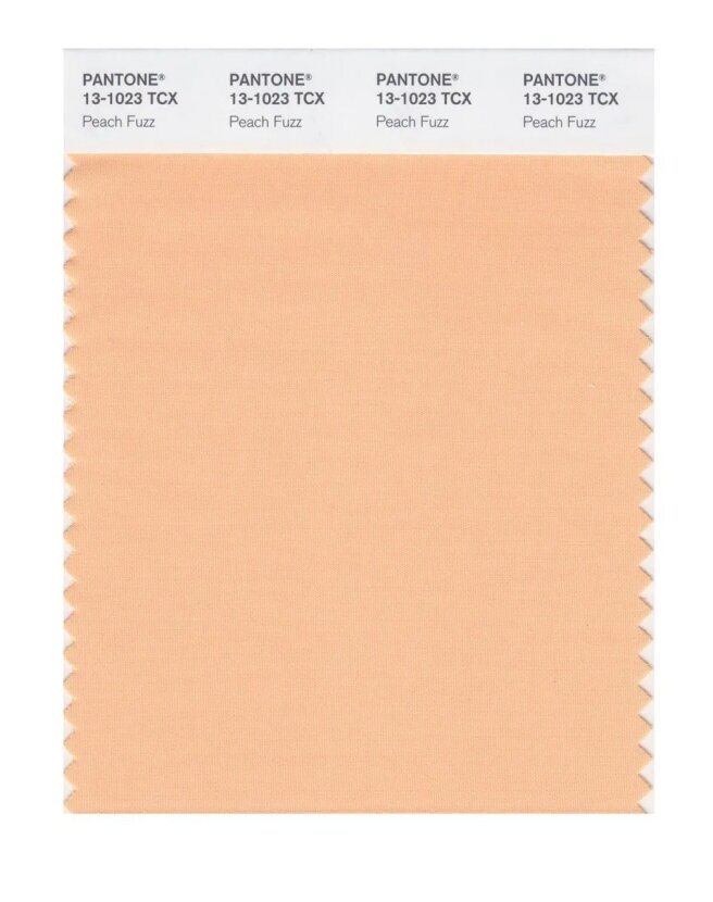Цвет 13-1023 Peach Fuzz