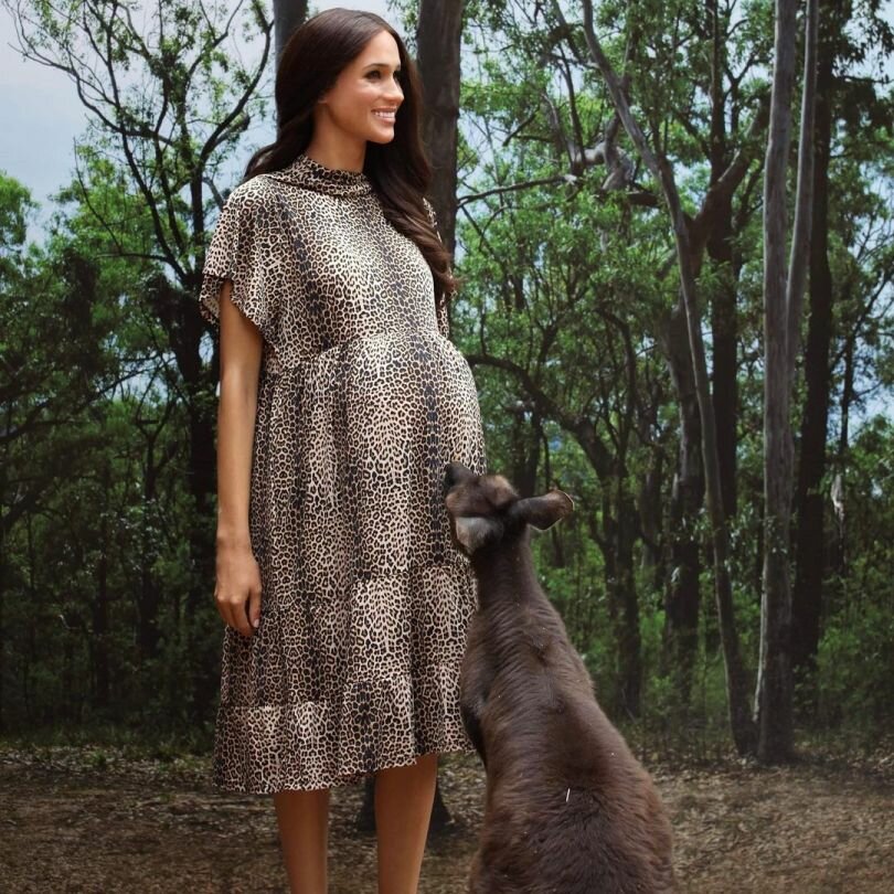 The network has new photos of pregnant Meghan Markle MustHub