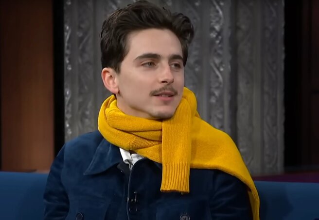 Timothée Chalamet Wore a Yellow Sweater to the Late Show and Joked About His Mustache