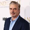 Another woman accused Chris Noth of violence