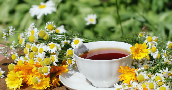 Herbs for tea: what to collect and how to brew flavored drinks