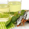 Birch kvass: an actual spring recipe