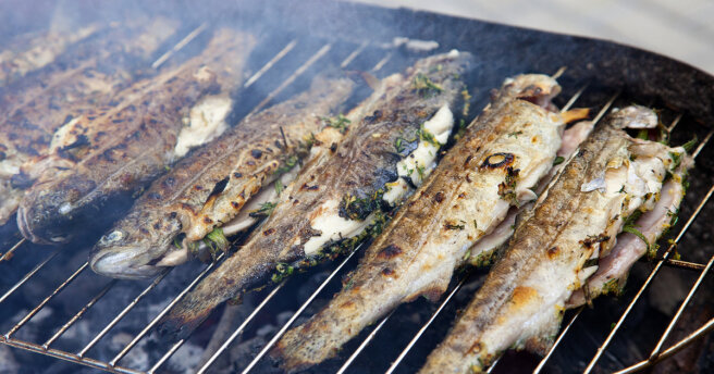 How to cook delicious grilled fish on Palm Sunday