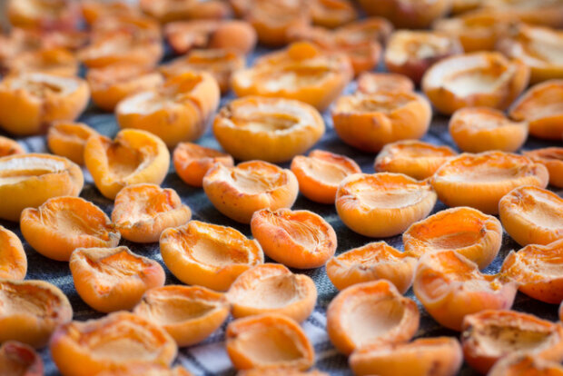 dried apricots