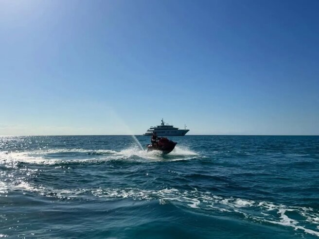 Тимоти Шаламе