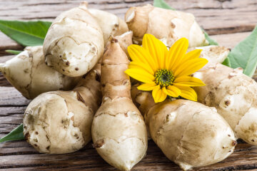 Jerusalem artichoke: the benefits and harms of ground pears