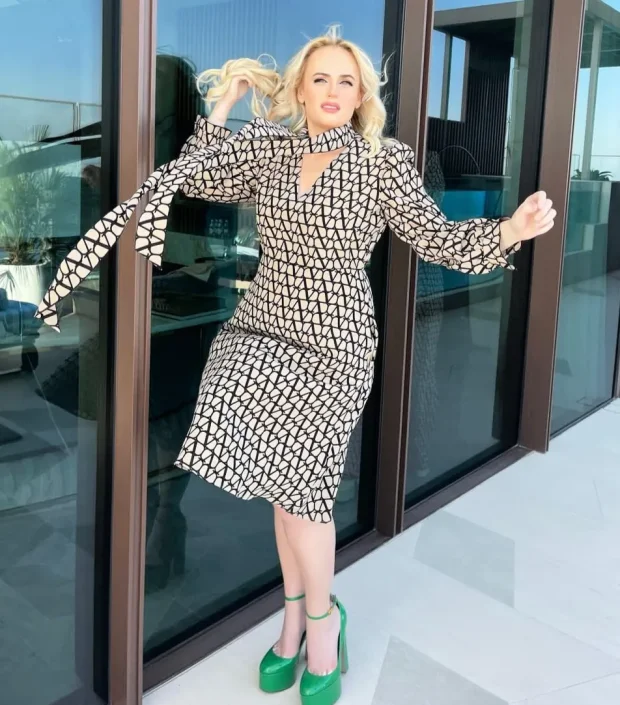Ребел Уилсон/Фото: rebelwilson/Instagram*
