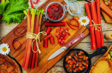 Best Rhubarb recipes: TOP 5 delicious dishes