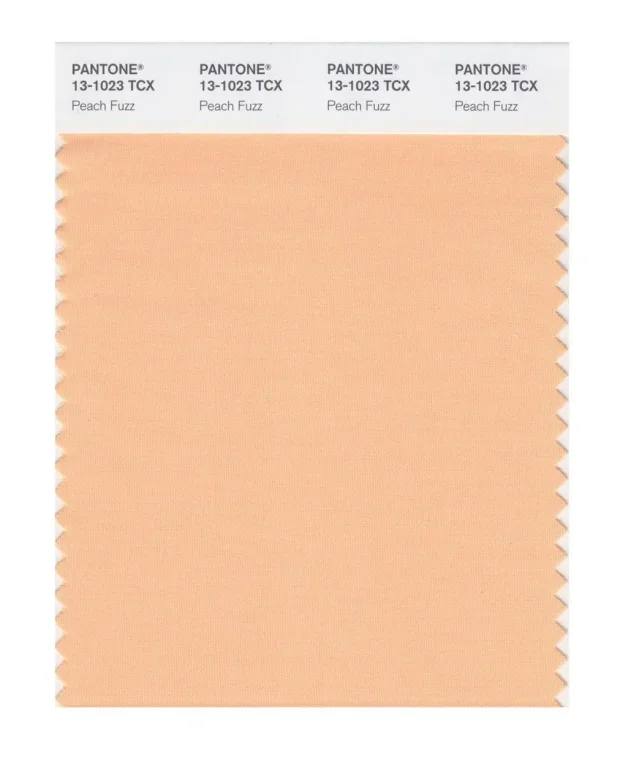 Цвет 13-1023 Peach Fuzz