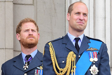 Princes William and Harry have made official statements in connection with the investigation of the controversial interview with Princess Diana