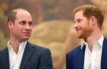 Prince William misses his former relationship with Prince Harry