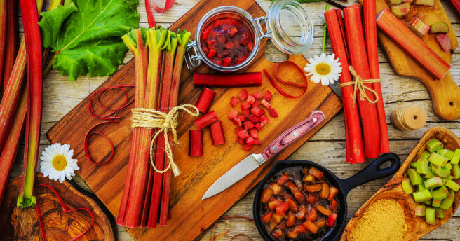 Best Rhubarb recipes: TOP 5 delicious dishes