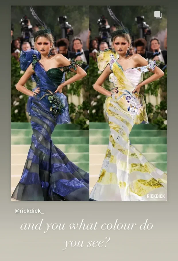 "А какой цвет видите вы?"/Фото: rickdick/Instagram*