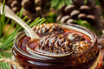 Jam from fir cones: a recipe for a therapeutic dessert
