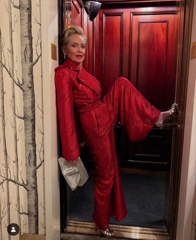 Шэрон Стоун/Фото: sharonstone/Instagram*