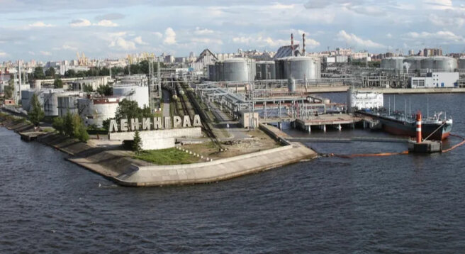 Drugs worth 13 billion rubles were found in the port of St. Petersburg