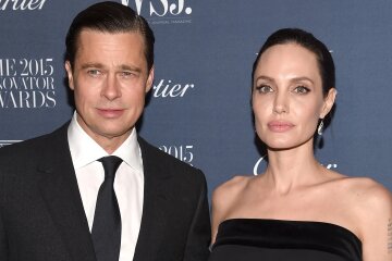 Angelina Jolie called Brad Pitt's demands in court for the Chateau Miraval winery "offensive"