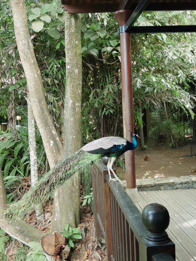 Фото Вани Дмитриенко