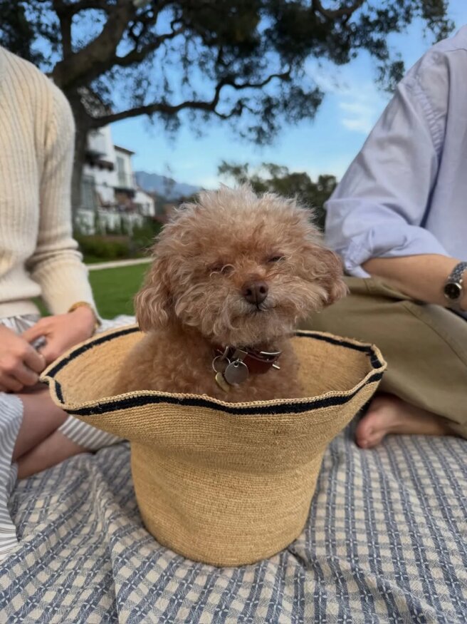 Фото Кэти Перри