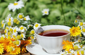 Herbs for tea: what to collect and how to brew flavored drinks