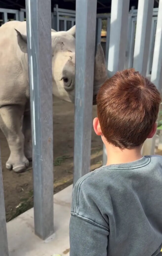 Сын принца Гарри и Меган Маркл