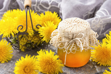 Dandelion jam: a simple recipe