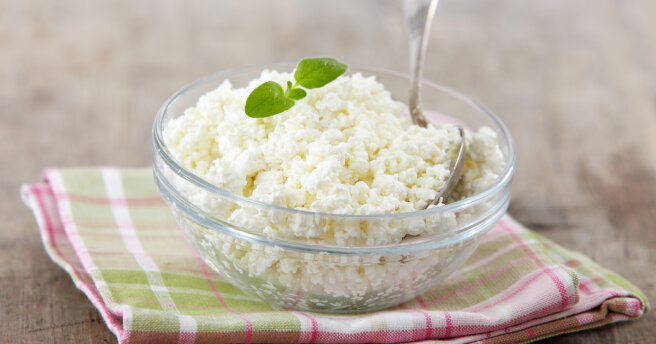 Cottage cheese from lactose-free milk: home recipe