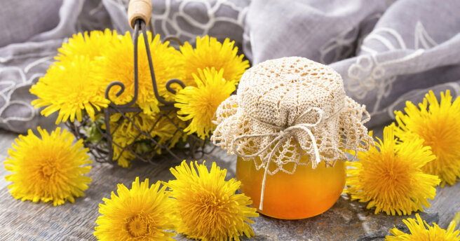 Dandelion jam: a simple recipe