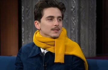 Timothée Chalamet Wore a Yellow Sweater to the Late Show and Joked About His Mustache