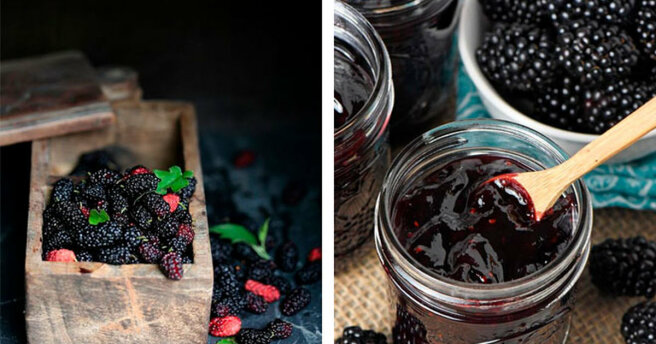 Mulberry: the benefits of berries and 3 recipes