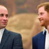 Princess Diana's friend: Princes William and Harry are close to reconciliation