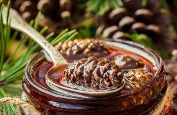 Jam from fir cones: a recipe for a therapeutic dessert