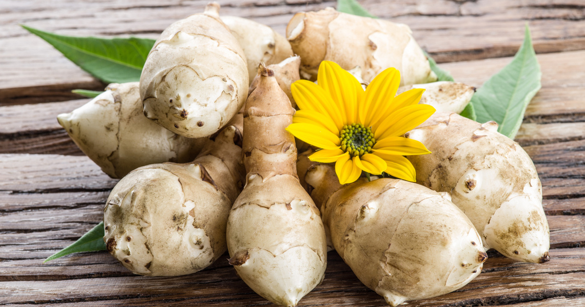 Jerusalem artichoke: the benefits and harms of ground pears - MustHub