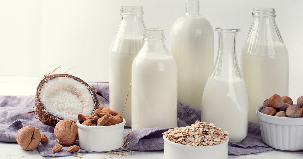 Vegetable milk at home coconut, almond, oatmeal MustHub